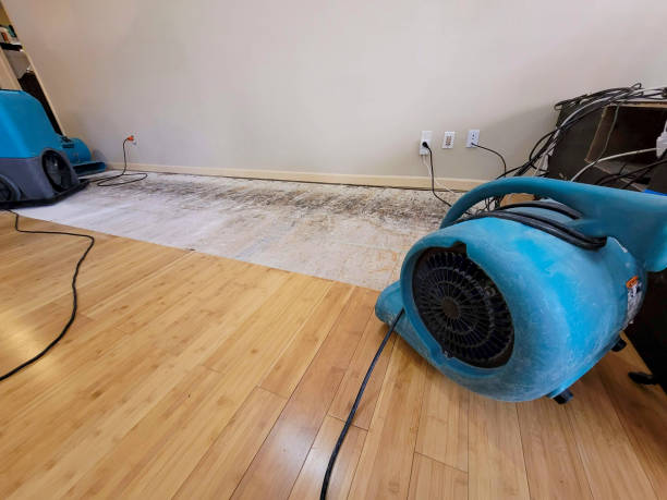 Professional Burst Pipe Water Damage technician working in Egypt, AL
